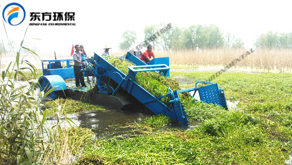 河南省滄州白墻水庫管理局購買的DFGC─39型半自動割草船【視頻】